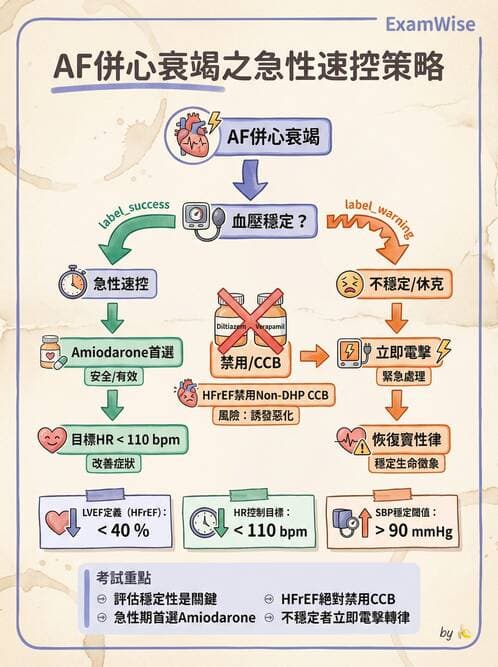內專 - 心肌病變 - AI 圖文解析預覽