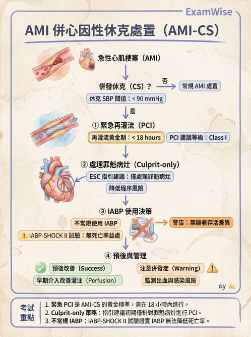 內專 - 急性冠心症 - AI 圖文解析預覽