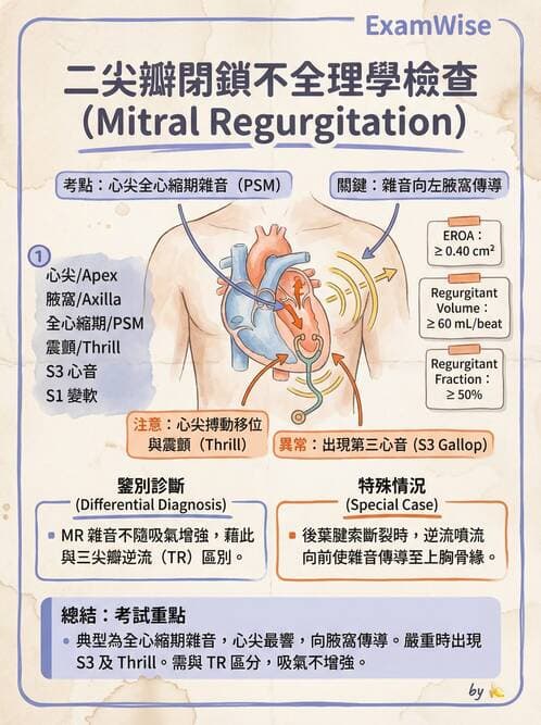 內專 - 瓣膜性心臟病 - AI 圖文解析預覽
