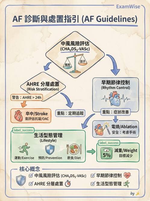 內專 - 心房顫動與上心室心律不整 - AI 圖文解析預覽