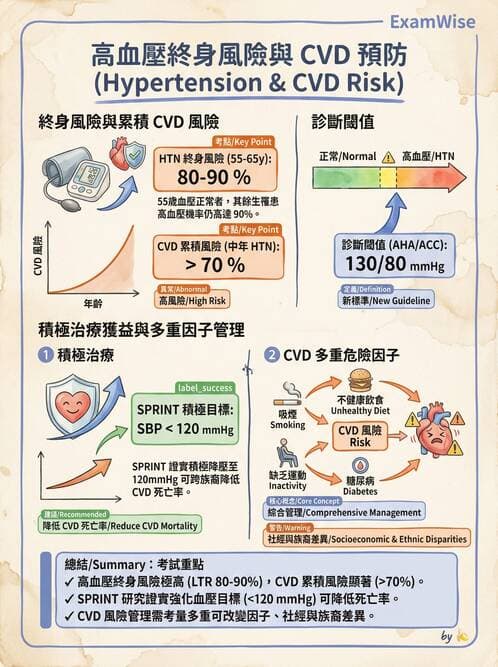 內專 - 高血壓 - AI 圖文解析預覽