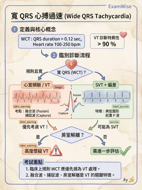 內專 - 心室心律不整與心因性猝死 - AI 圖文解析預覽