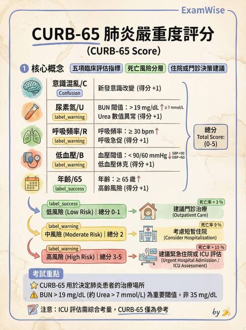 內專 - 社區性肺炎 - AI 圖文解析預覽