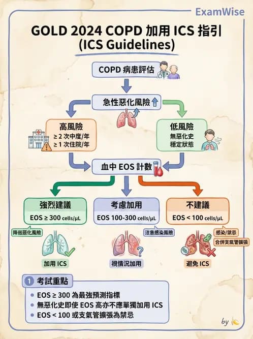 內專 - COPD 穩定期診斷與治療 - AI 圖文解析預覽
