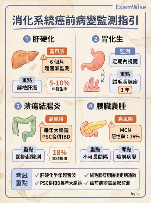內專 - 胃癌與消化道腫瘤 - AI 圖文解析預覽