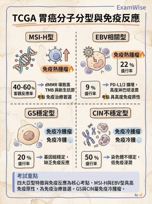 內專 - 胃癌與消化道腫瘤 - AI 圖文解析預覽