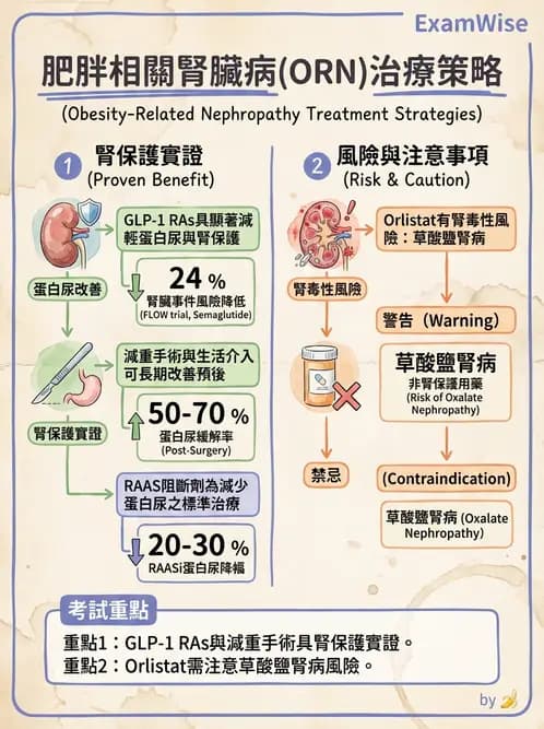內專 - 原發性腎絲球腎炎 - AI 圖文解析預覽