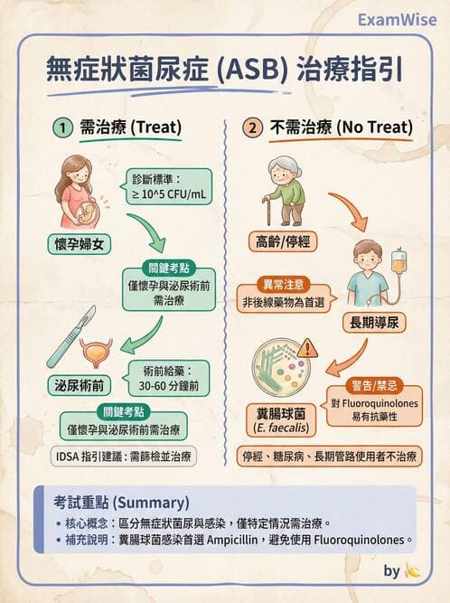 內專 - 革蘭氏陰性菌感染 - AI 圖文解析預覽