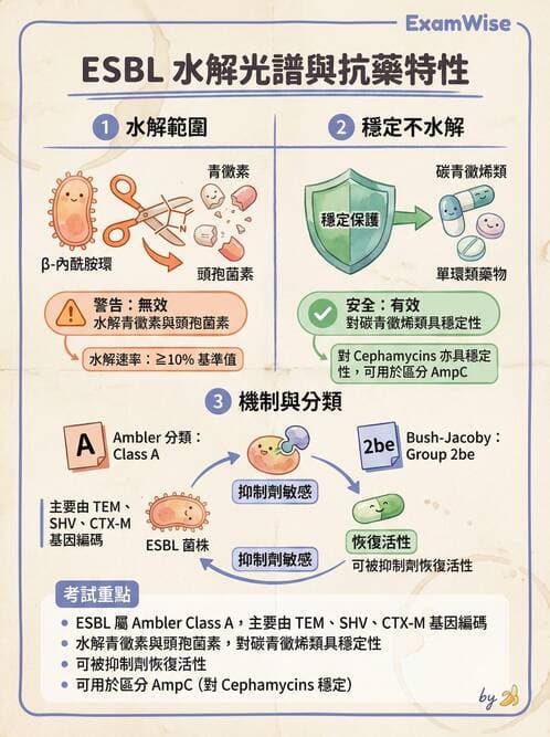 內專 - 抗藥性菌與感染管控 - AI 圖文解析預覽