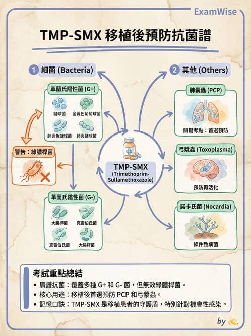 內專 - 抗藥性菌與感染管控 - AI 圖文解析預覽