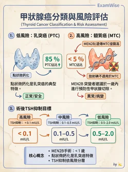 內專 - 甲狀腺疾病 - AI 圖文解析預覽