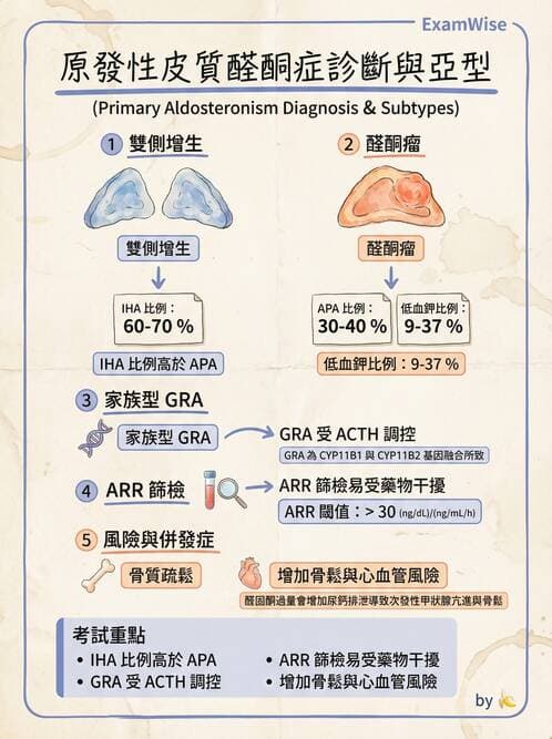 內專 - 腎上腺皮質疾病 - AI 圖文解析預覽