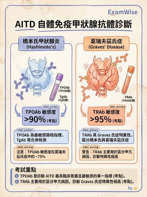 內專 - 免疫學基礎與特殊免疫反應 - AI 圖文解析預覽