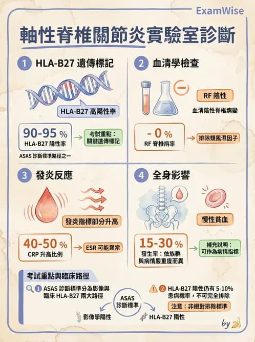 內專 - 脊椎關節病變 - AI 圖文解析預覽