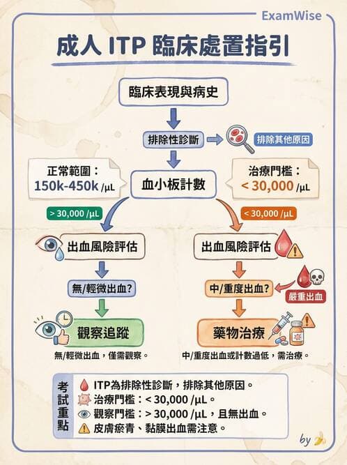 內專 - 凝血與輸血 - AI 圖文解析預覽