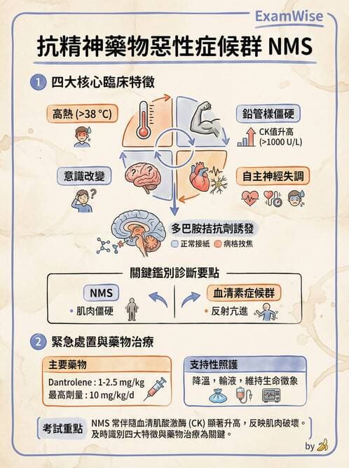 內專 - 帕金森與運動障礙 - AI 圖文解析預覽
