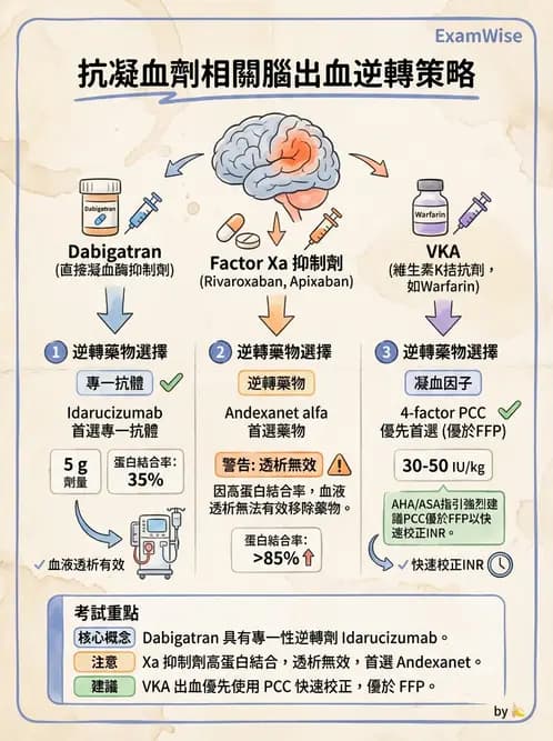 內專 - 腦血管疾病 - AI 圖文解析預覽