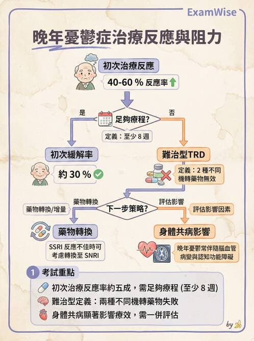 內專 - 憂鬱症與自殺防治 - AI 圖文解析預覽