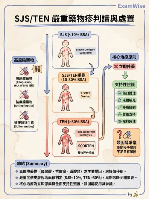 內專 - 免疫皮膚病與藥物反應 - AI 圖文解析預覽
