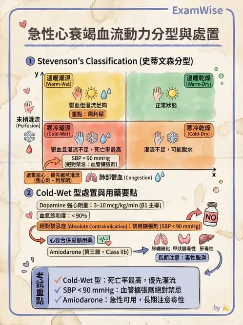 內專 - 心衰竭 - AI 圖文解析預覽