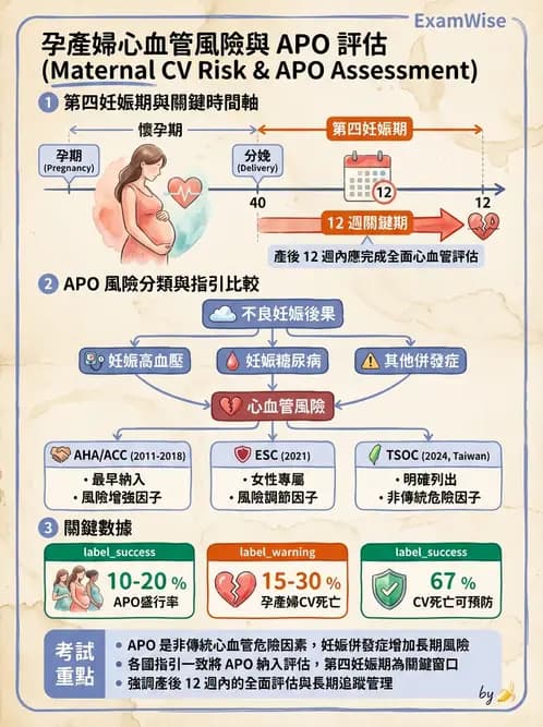 內專 - 高血壓 - AI 圖文解析預覽