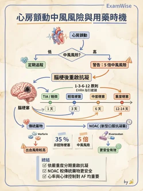內專 - 心房顫動與上心室心律不整 - AI 圖文解析預覽