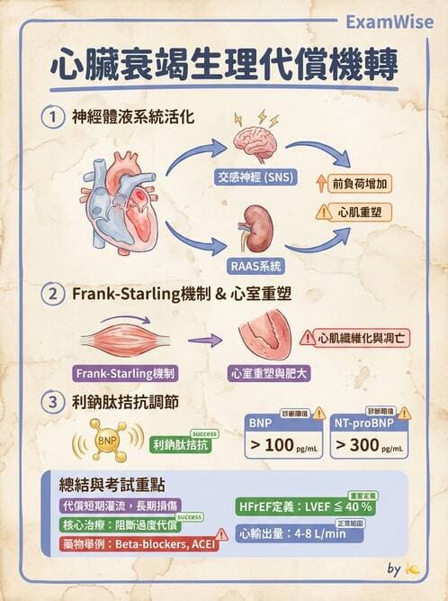 內專 - 心衰竭 - AI 圖文解析預覽