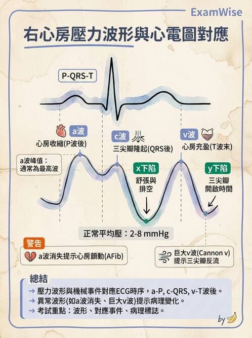 內專 - 心內膜炎與心包膜疾病 - AI 圖文解析預覽