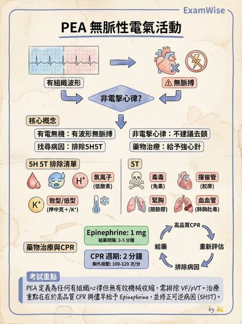 內專 - 心室心律不整與心因性猝死 - AI 圖文解析預覽
