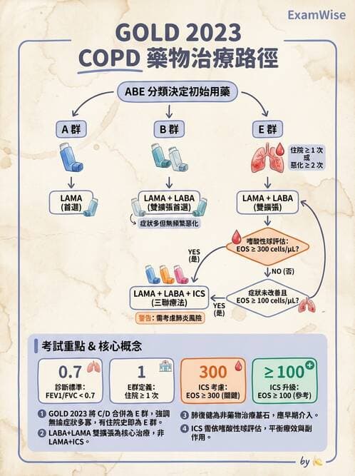 內專 - COPD 穩定期診斷與治療 - AI 圖文解析預覽