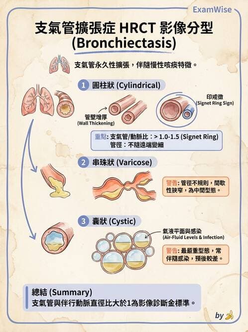 內專 - 間質性肺病與肺纖維化 - AI 圖文解析預覽