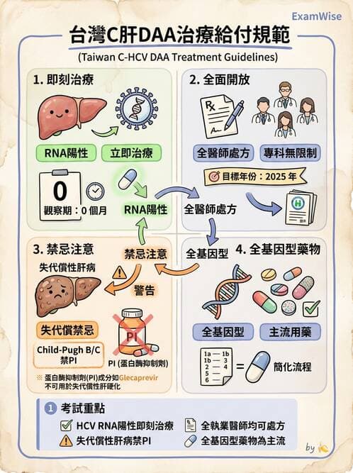內專 - C型肝炎 - AI 圖文解析預覽