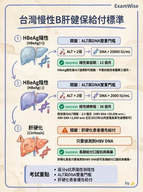 內專 - B型肝炎 - AI 圖文解析預覽