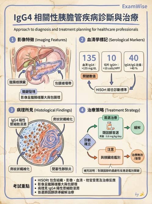 內專 - 膽道疾病與膽酸生理 - AI 圖文解析預覽