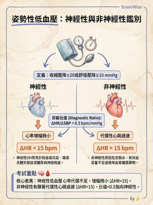 內專 - 腎間質疾病與其他 - AI 圖文解析預覽