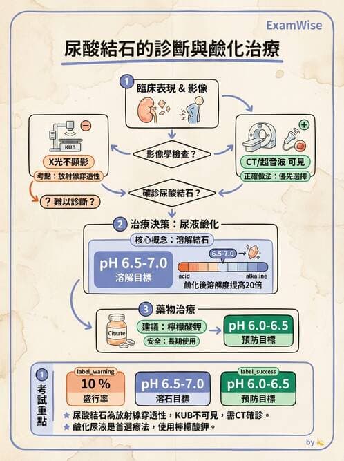 內專 - 多囊腎與腎結石 - AI 圖文解析預覽