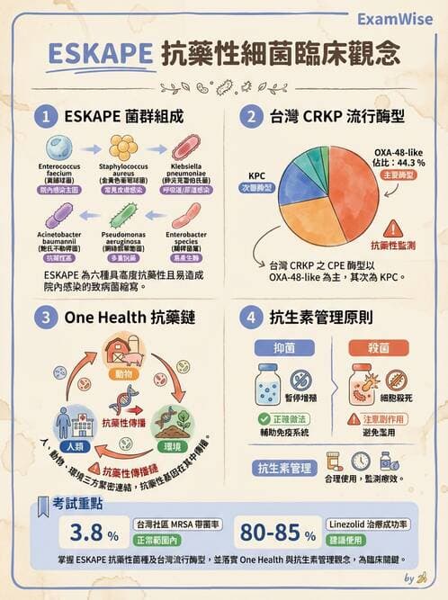 內專 - 抗藥性菌與感染管控 - AI 圖文解析預覽