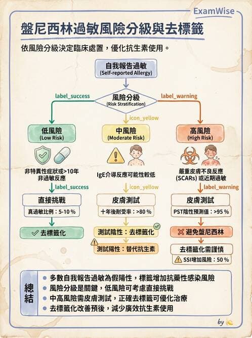 內專 - 抗生素機轉與藥理 - AI 圖文解析預覽