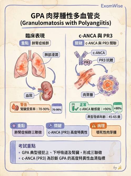 內專 - 血管炎 - AI 圖文解析預覽