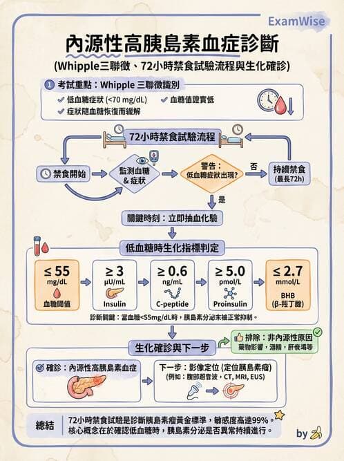 內專 - 低血糖與內源性高胰島素血症 - AI 圖文解析預覽