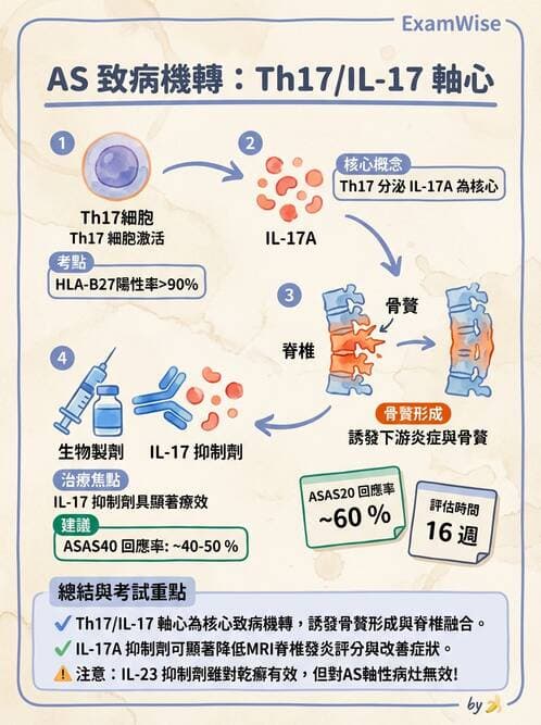 內專 - 脊椎關節病變 - AI 圖文解析預覽