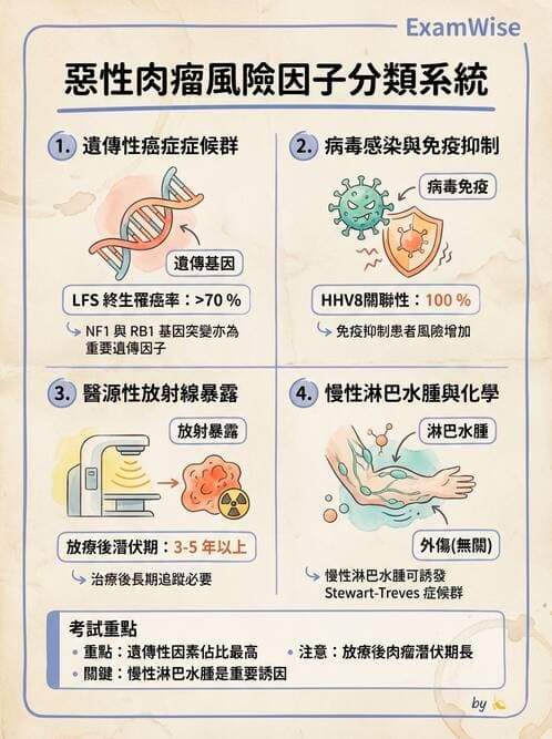 內專 - 非消化系統腫瘤 - AI 圖文解析預覽