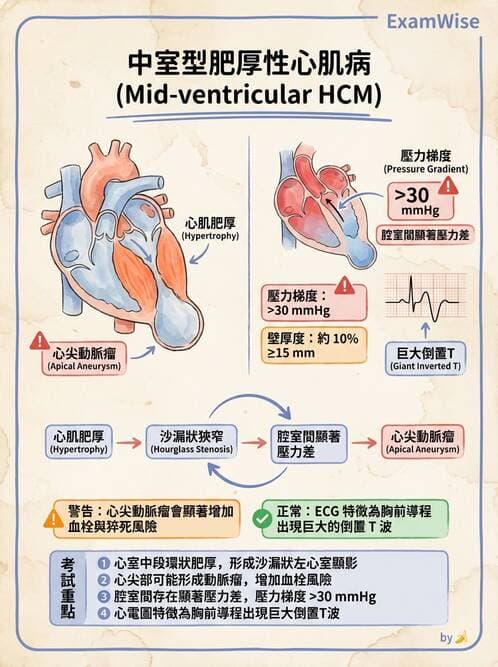 內專 - 心肌病變 - AI 圖文解析預覽