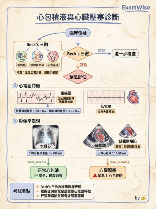 內專 - 瓣膜性心臟病 - AI 圖文解析預覽