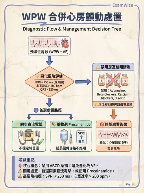 內專 - 心房顫動與上心室心律不整 - AI 圖文解析預覽