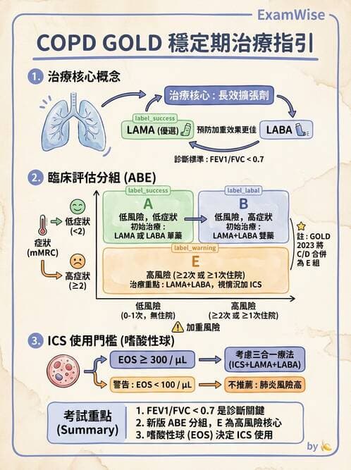 內專 - COPD 穩定期診斷與治療 - AI 圖文解析預覽