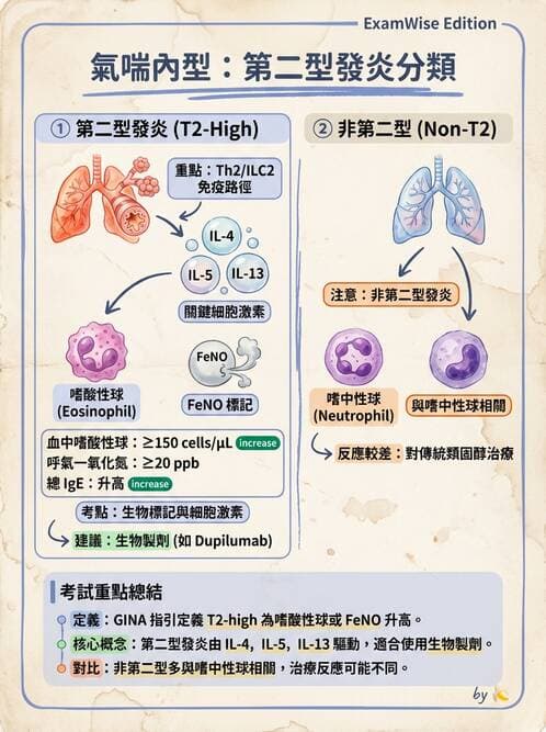 內專 - 氣喘 - AI 圖文解析預覽