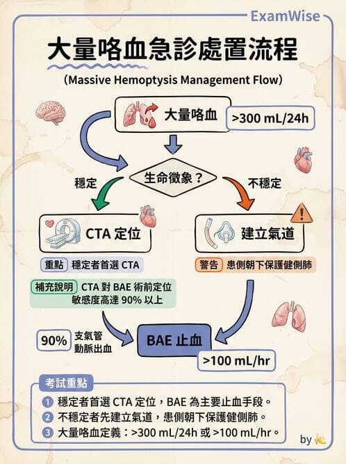 內專 - 呼吸衰竭、非侵襲性呼吸器與睡眠呼吸中止 - AI 圖文解析預覽