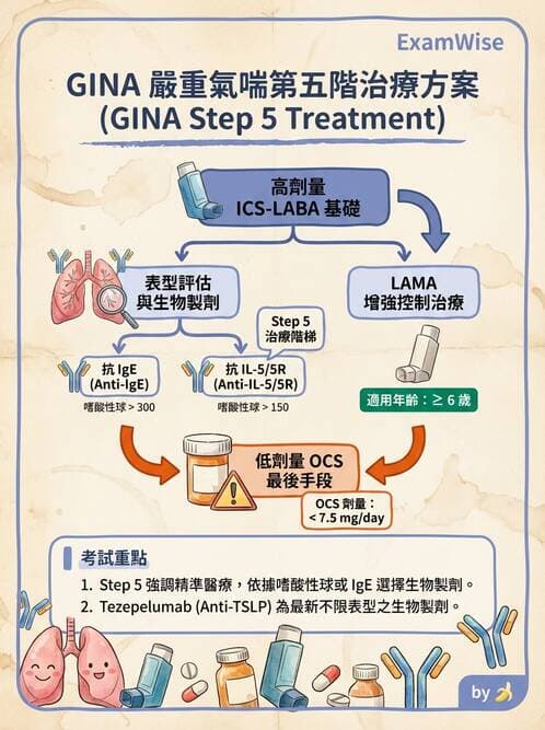 內專 - 氣喘 - AI 圖文解析預覽