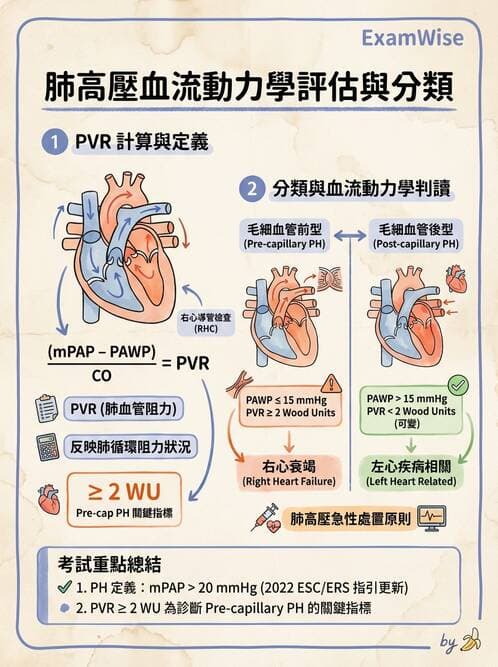 內專 - 肺血管疾病 - AI 圖文解析預覽